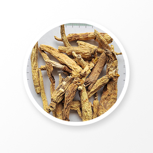 Médecine chinoise aux herbes de racine de ginseng blanc 