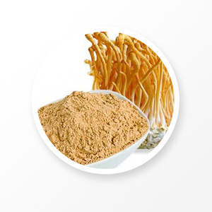 Extrait de Cordyceps 