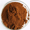 Extrait de chaga
